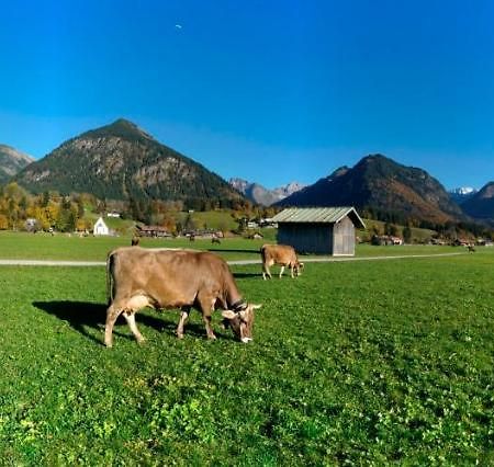 Bergpanorama Appartement Oberstdorf Buitenkant foto