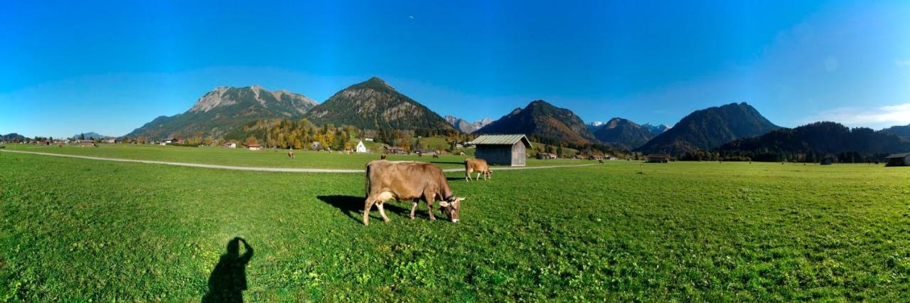 Bergpanorama Appartement Oberstdorf Buitenkant foto